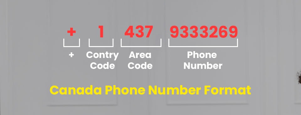 Canada Phone Number Format Canada Phone Number Format