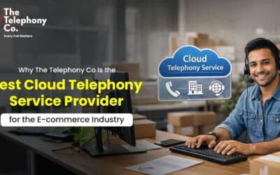 Why The Telephony Co Is the Best Cloud Telephony Service Provider for E-commerce