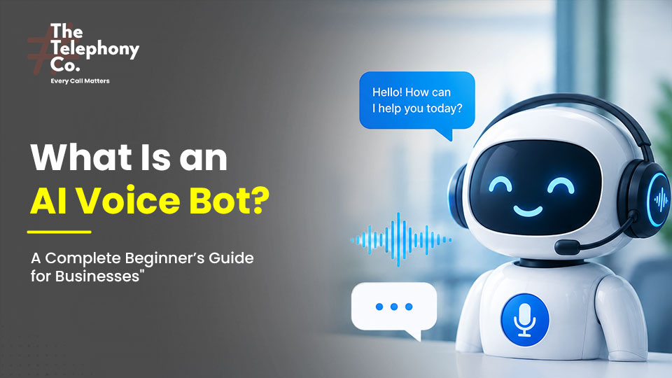 AI Voice Bot